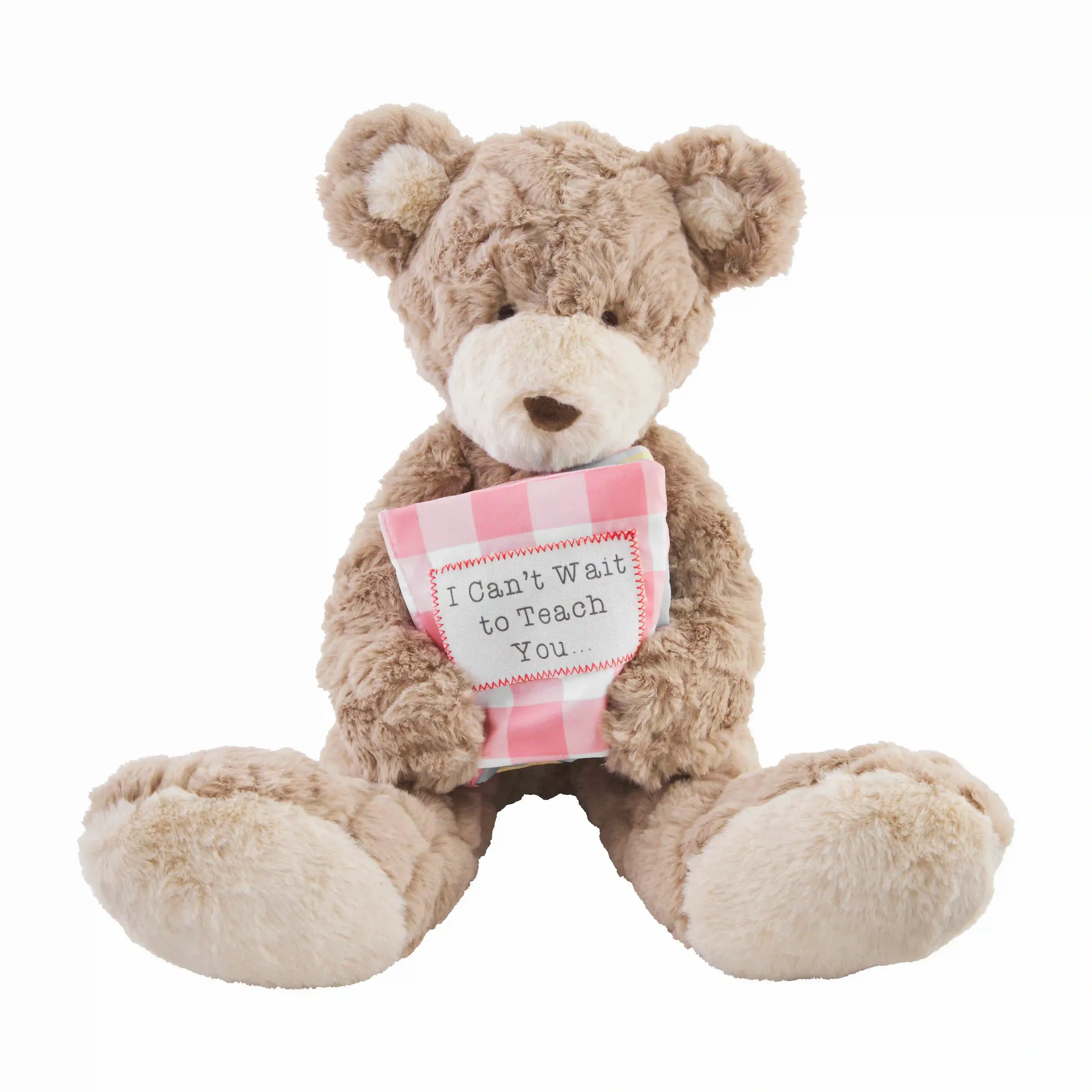 Big Sister Book and Bear